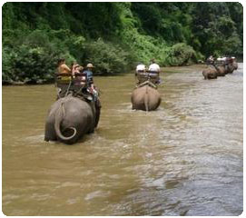 chiang-dao-elephant-jungle-trek-and-ping-river-rafting-tour-from-in-chiang-mai